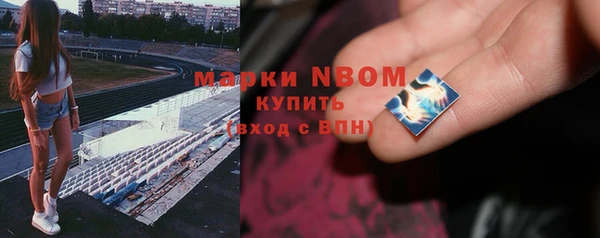 соль ск Няндома