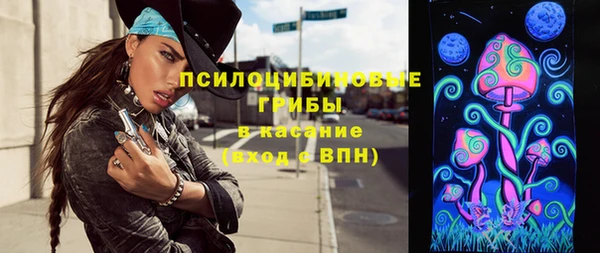 стафф Апатиты