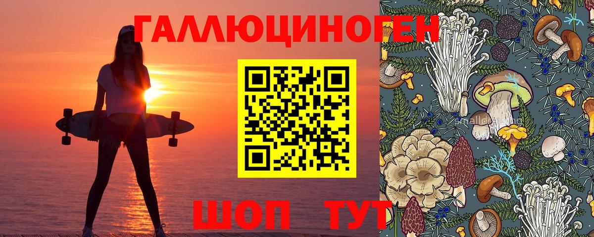ГАШИШ Хасавюрт