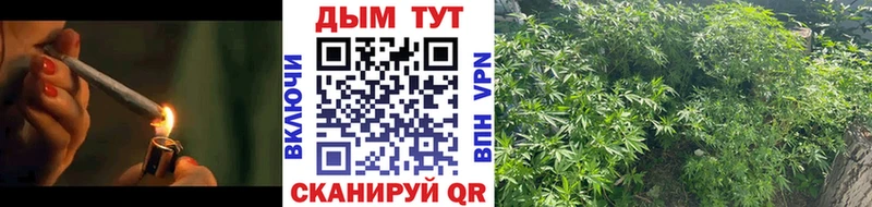 мориарти клад Хасавюрт Бошки Шишки MAZAR